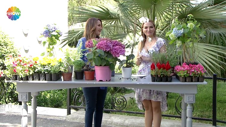 Çiçeklere nasıl bakıyorsunuz?