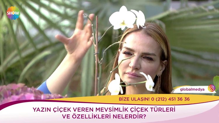 Orkide nasıl bakılır?