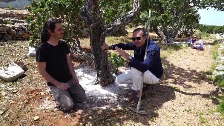 Sakız Adası - Ayhan Sicimoğlu ile Renkler (7 Haziran 2017) 3.Bölüm