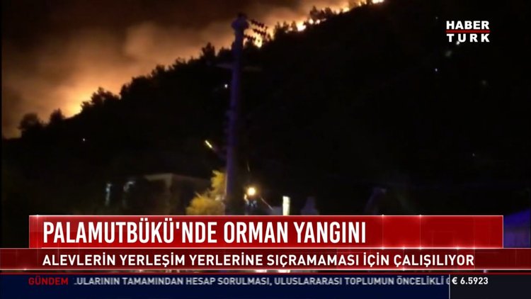 Son dakika... Datça Palamutbükü'ndeki yangın kontrol altına alınmaya çalışılıyor