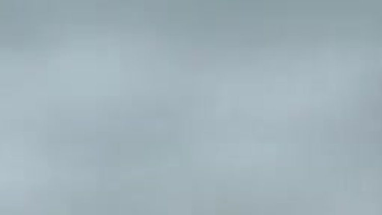 Caretta carettaları ölümden kurtardılar