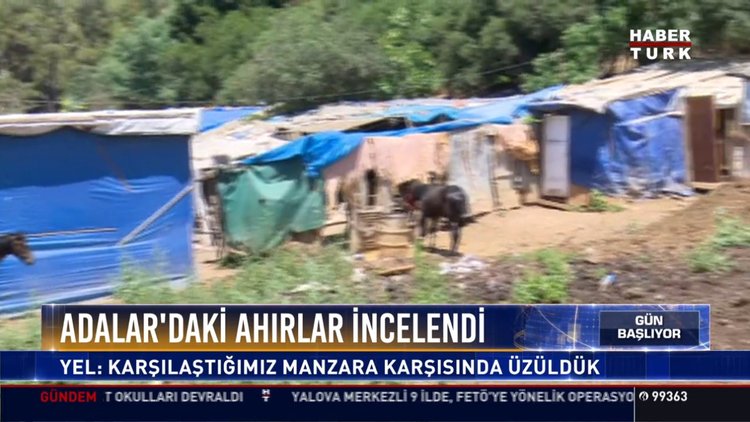 Adalar'da faytonlar kaldırılacak mı?