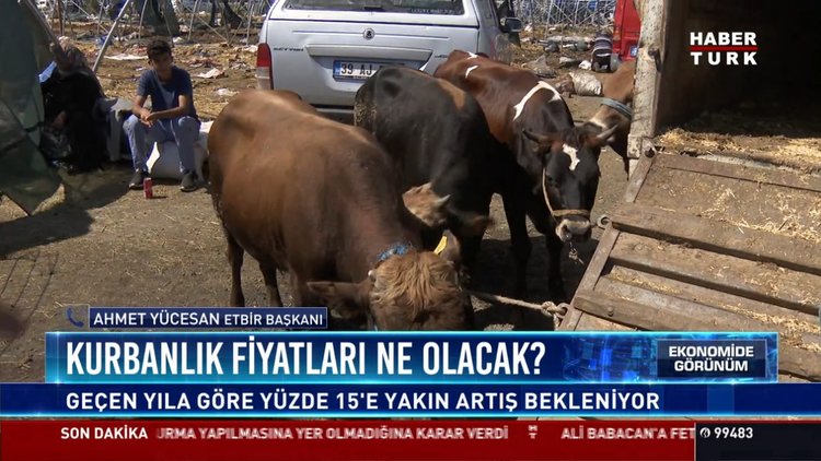 Kurbanlık fiyatları ne olacak?