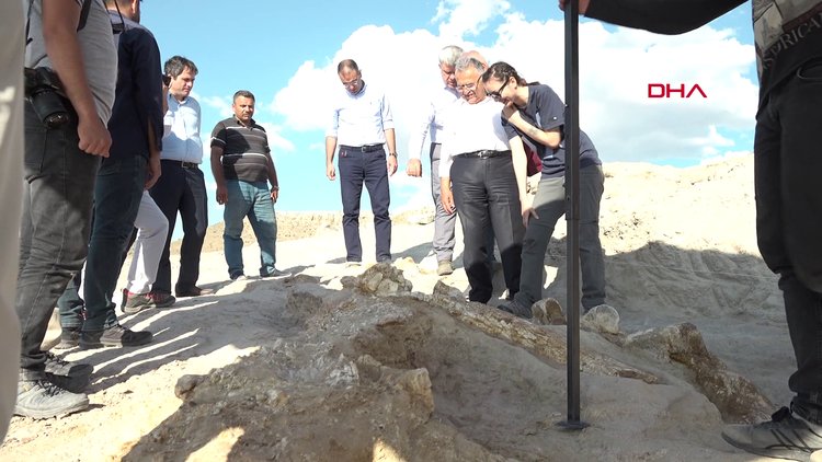 Kayseri'de 7,5 milyon yıllık yeni fosiller bulundu