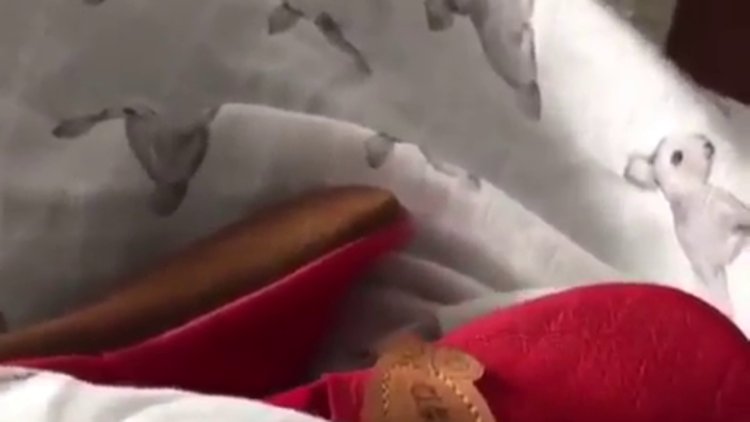 Fahriye Evcen oğlu Karan'ı böyle uyuttu