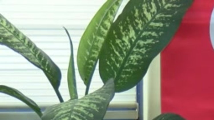 15 Temmuz Gazisi Aras: Öleceğimi hissettim ama ne bir burukluk ne de bir kızgınlık vardı