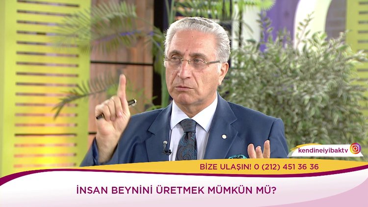 İnsan beyninin yapısı nasıldır?