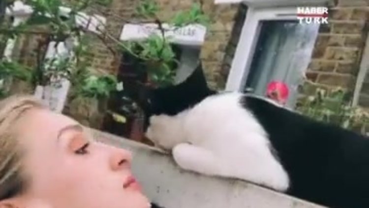 Yasemin Kay Allen'in kedi sevgisi