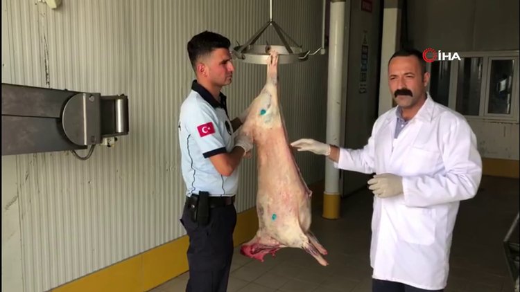 Tarsus'ta 113 kilo sahte mühürlü et ele geçirildi