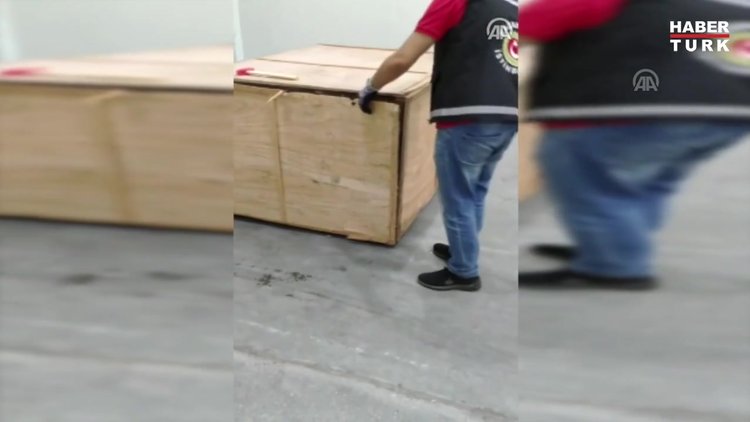 İstanbul Havalimanı'nda 1,2 ton pangolin pulu ele geçirildi