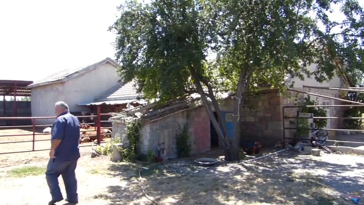 Yılanı vurmaya çalışırken hamile eşini öldürdüğü iddiası