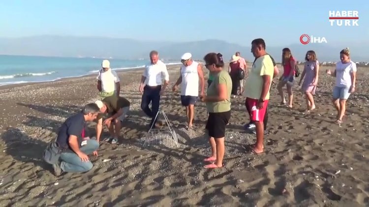 Caretta caretta alanında drift yapan sürücüye rekor ceza