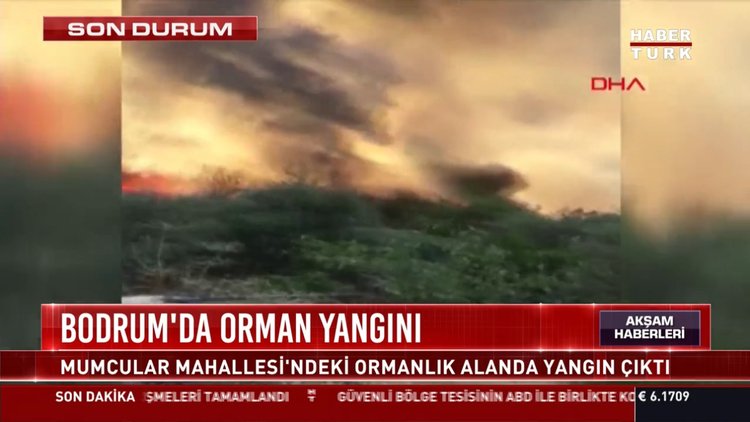 Bodrum'da orman yangını çıktı. İşte ayrıntılar...