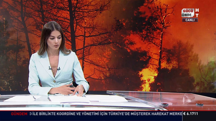 Bodrum'da orman yangını! Alevler köylere ulaştı