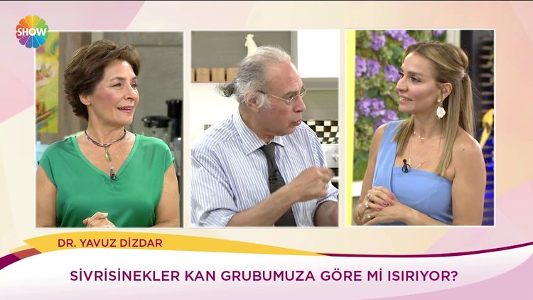 Sivrisinekler kan grubuna göre mi ısırıyor?