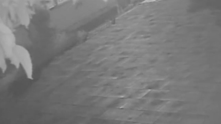 Okulun potalarını korumak isteyen müdürden ilginç yöntem