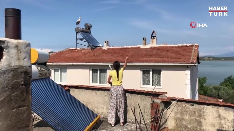 Beyzanur'la leyleklerin dostluğu görenleri şaşırtıyor