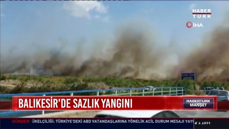 Balıkesir'de sazlık yangını