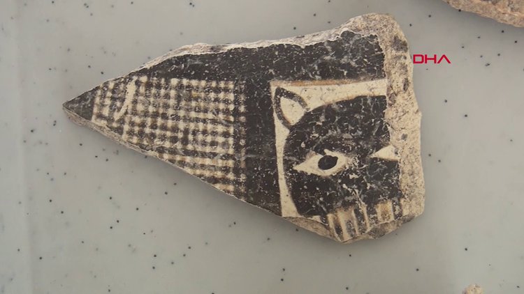 Domuztepe Höyüğü kazılarında çıkarılan 8 bin yıllık boyalı çanak çömleklerde Şaman motiflerine rastlandı