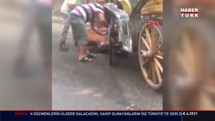 Büyükada'da bildik manzara