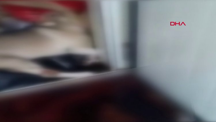 Antalya'daki barınakta dehşet görüntüler