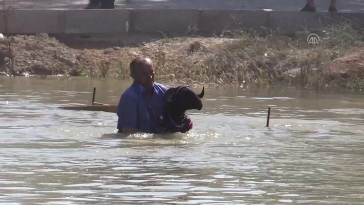 846. Sudan Koyun Geçirme Yarışması