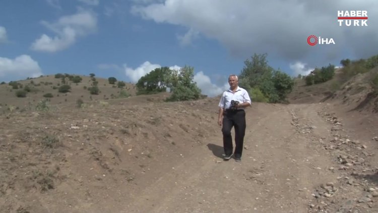 Sivas'ta 55 milyon yıllık deniz canlısı fosili bulundu