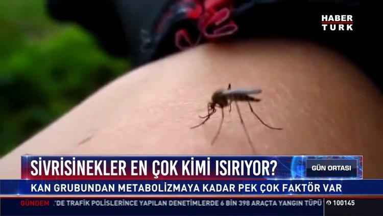 Sivrisinekler en çok kimi ısırıyor?