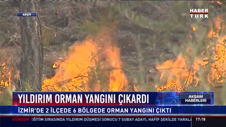 Yıldırım orman yangını çıkardı