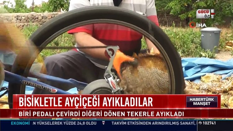 Bisikletle ayçiçeği ayıkladılar