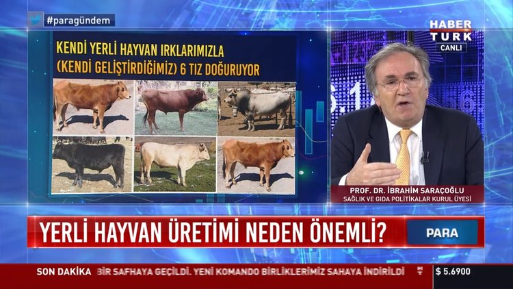 Yerli hayvan üretimi neden önemli?