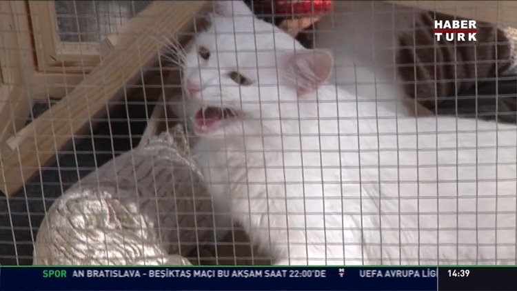 Emine Erdoğan'dan tescil mesajı