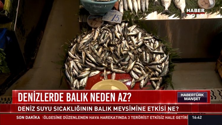 Denizlerde balık neden az?