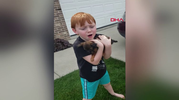 Yavru köpeğine kavuşan çocuğun sevinç gözyaşları