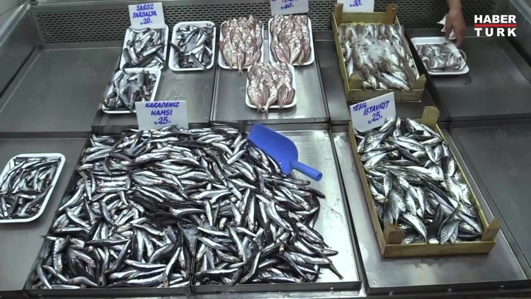 Balıkçıların gözü "denizlerin prensi"nde