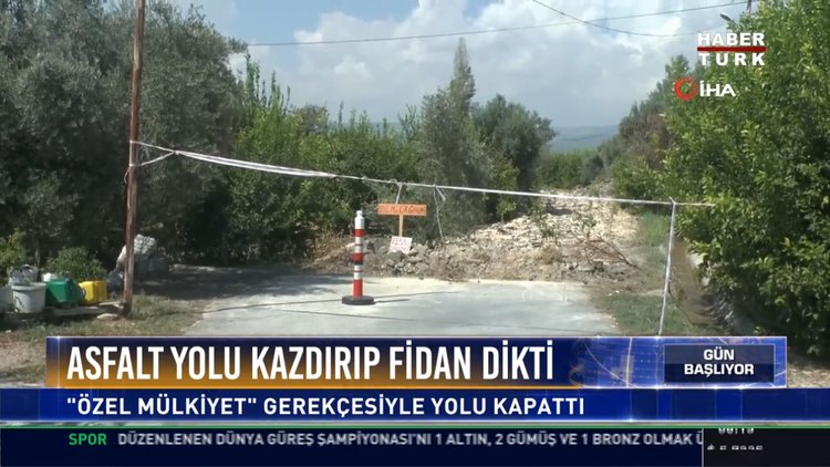 Asfalt yolu kazdırıp fidan dikti