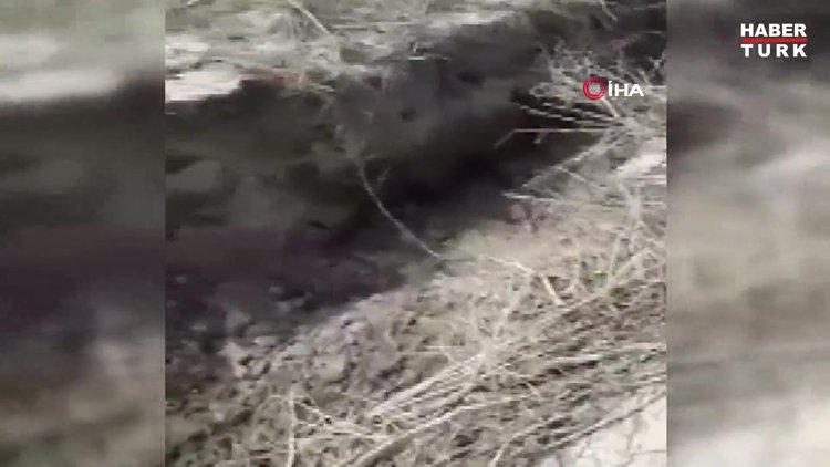 Tarlalarda oluşan dev yarıklar korkutuyor