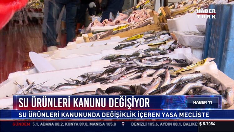 Su ürünleri kanunu değişiyor