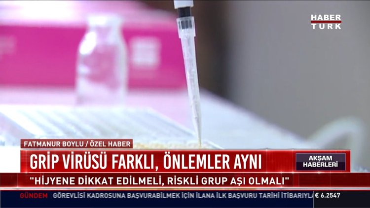 Domuz gribi virüsü mutasyon geçirdi