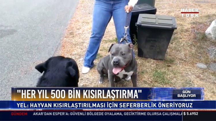 Hayvana eziyet ceza kanununa girecek