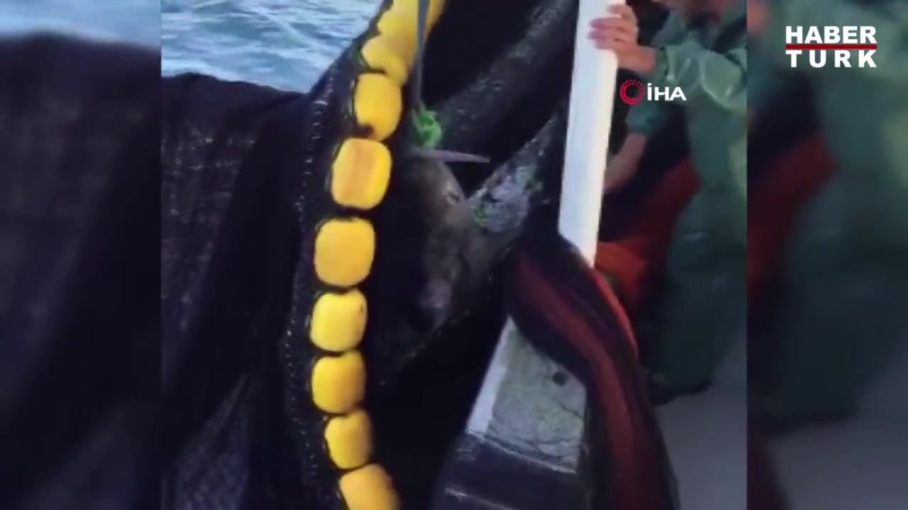 kopek baligina tekmeli dayaga ceza