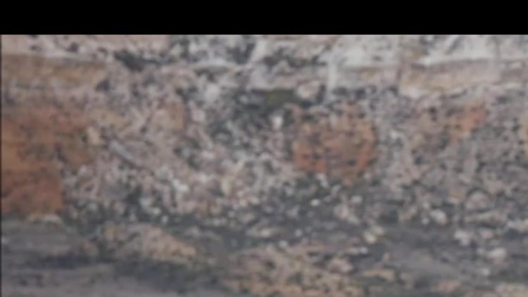 En küçük BMW Türkiye'de satışa çıktı