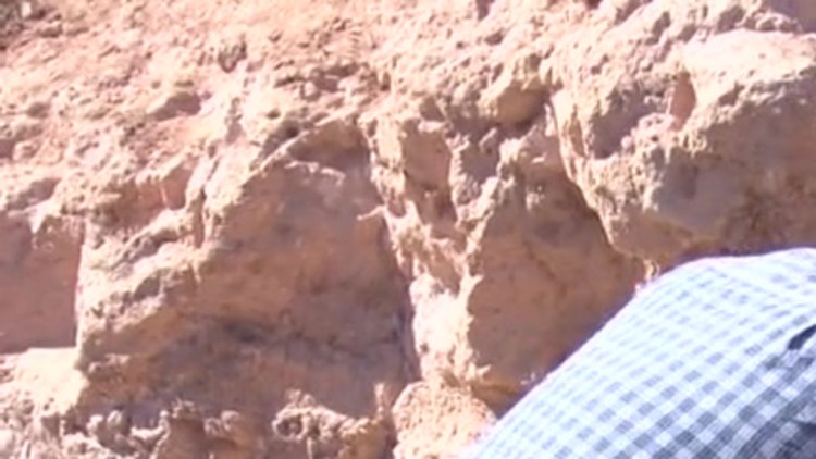 Kayseri'de 8 milyon yıllık fosiller bulundu!