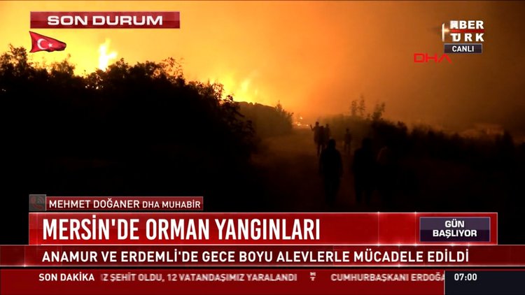 Mersin'de orman yangınları