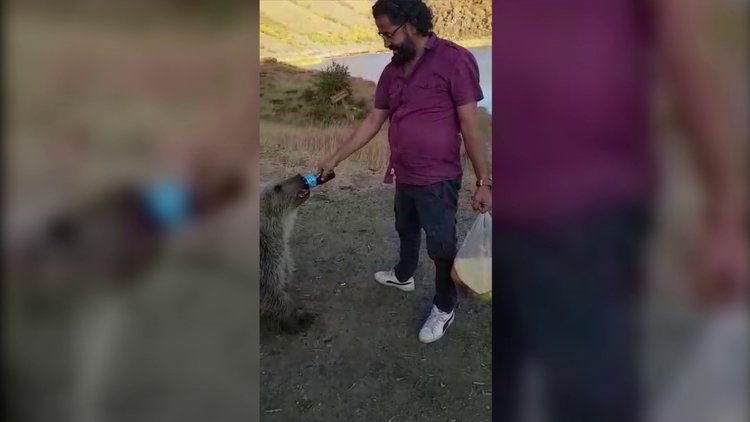 Ayı ile dostluğu kalpleri ısıttı