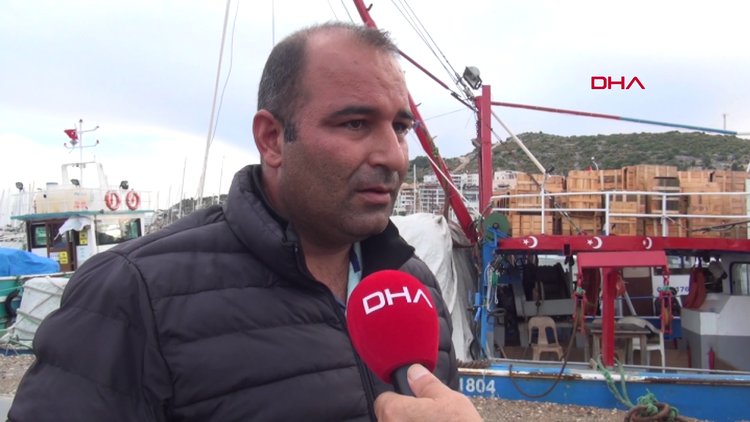 Ağına yüzlerce balon balığı takılan balıkçı: Bu balık, denizin piranası