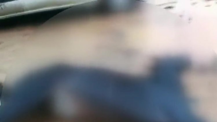 Eyüpsultan'da ayaklarını bağlayıp atı öldürdüler; eti için kesecekleri iddiası