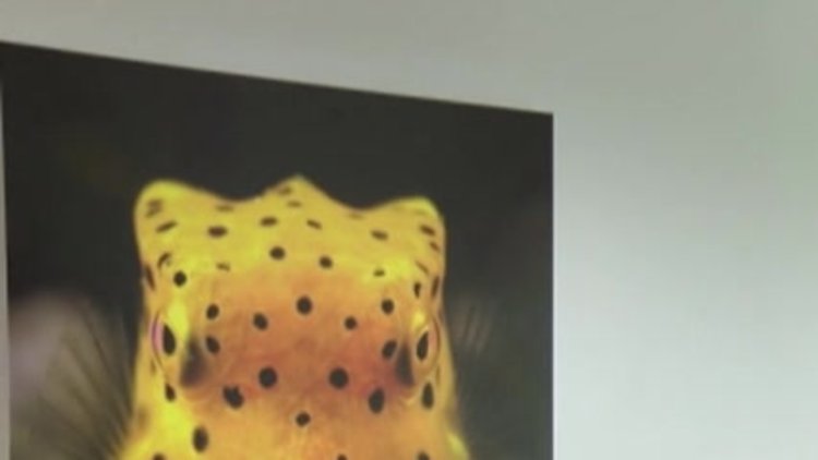 Aliağa'da gemiden sızan petrol nedeniyle balıkçılar ve halk uyarıldı