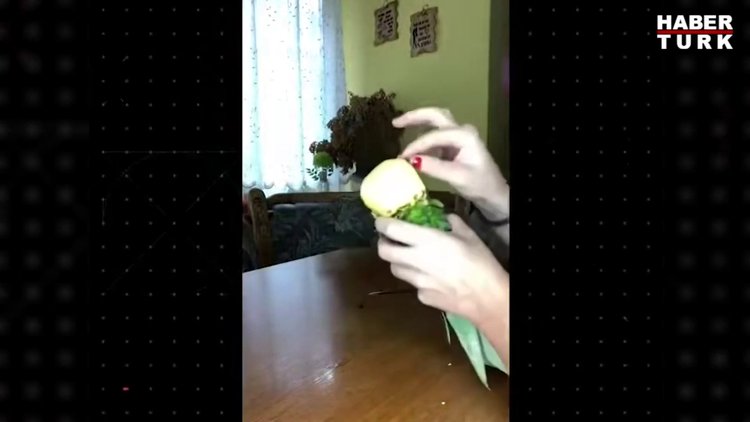 ABD'li senatörler uyardı: TikTok ulusal güvenlik riski taşıyor