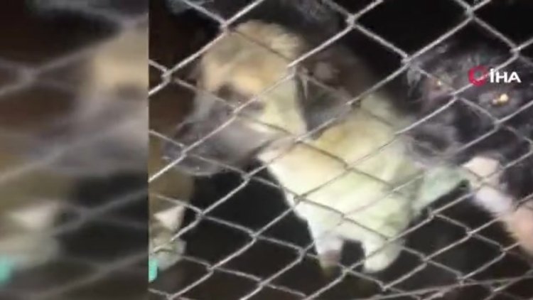 Başkan Hilmi Güler faturayı kesti